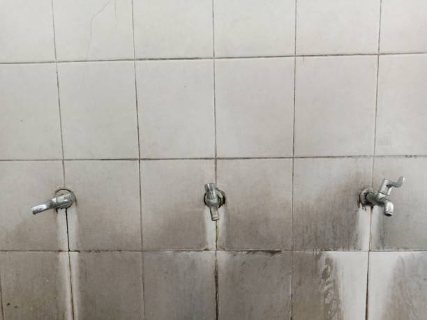 Best Flood damage cleanup  in Mcgaheysville, VA